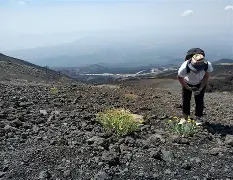 开元棋牌官方网站-卡塔利亚零食加盟费用